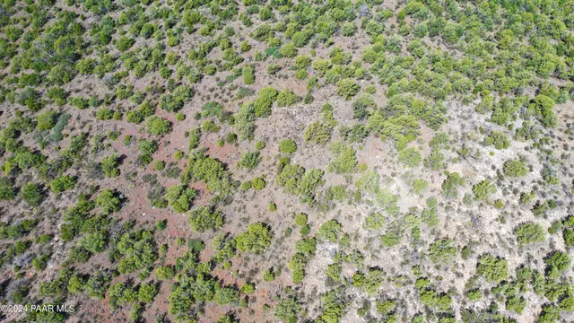 $225,000 | 887 North Whiskey Way, Seligman, AZ 86337