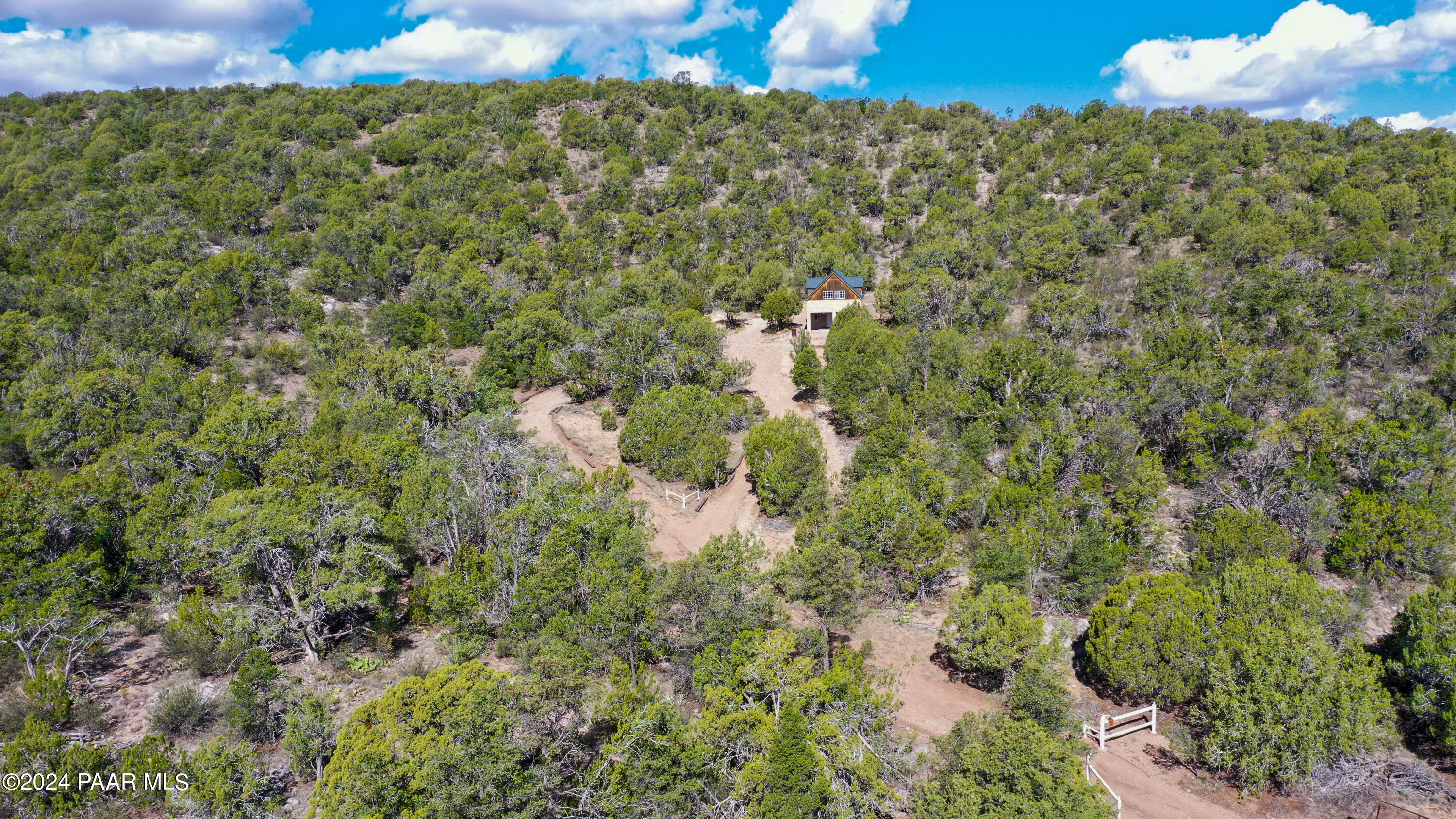 887 North Whiskey Way Seligman, AZ 86337 - Photo 33 of 36 a view of a bunch of trees and bushes