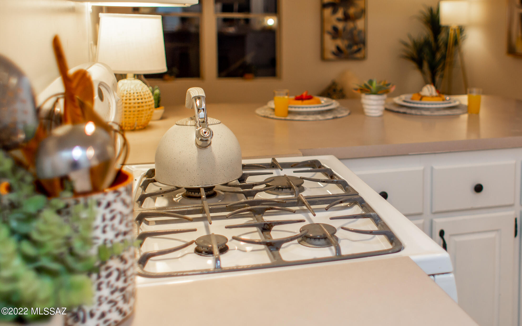 7445 North Gemstone Road Tucson, AZ 85743 - Photo 28 of 49 Gallery Image 28