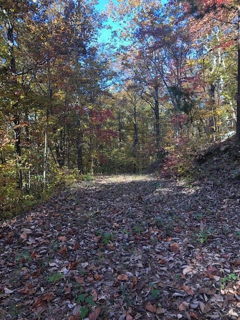 0 Bluffs Road North Guild, TN 37340 - Photo 4 of 16 Gallery Image 4