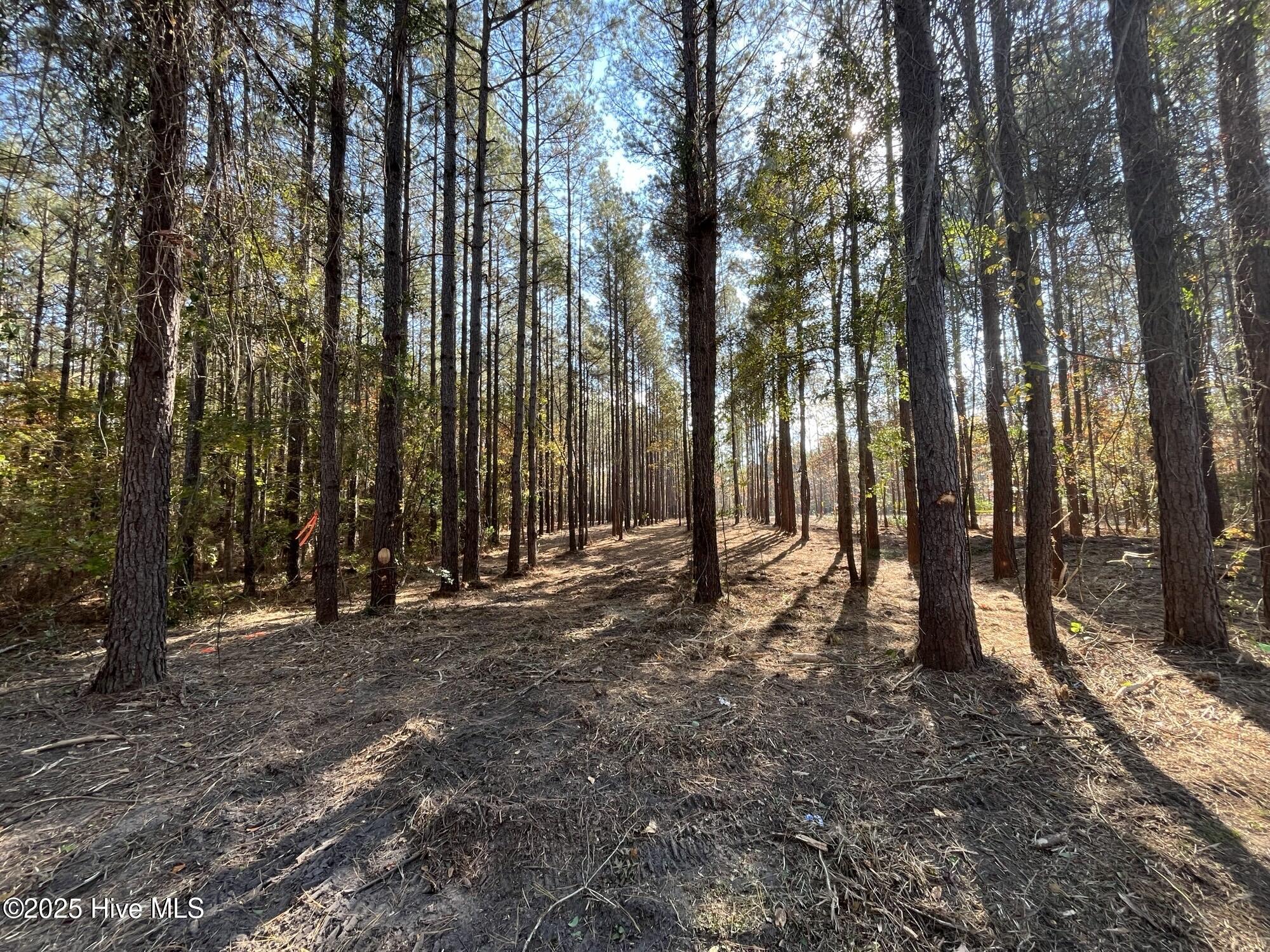 3227 Lee Landing Road New Bern, NC 28560 - Photo 2 of 13 IMG_6132