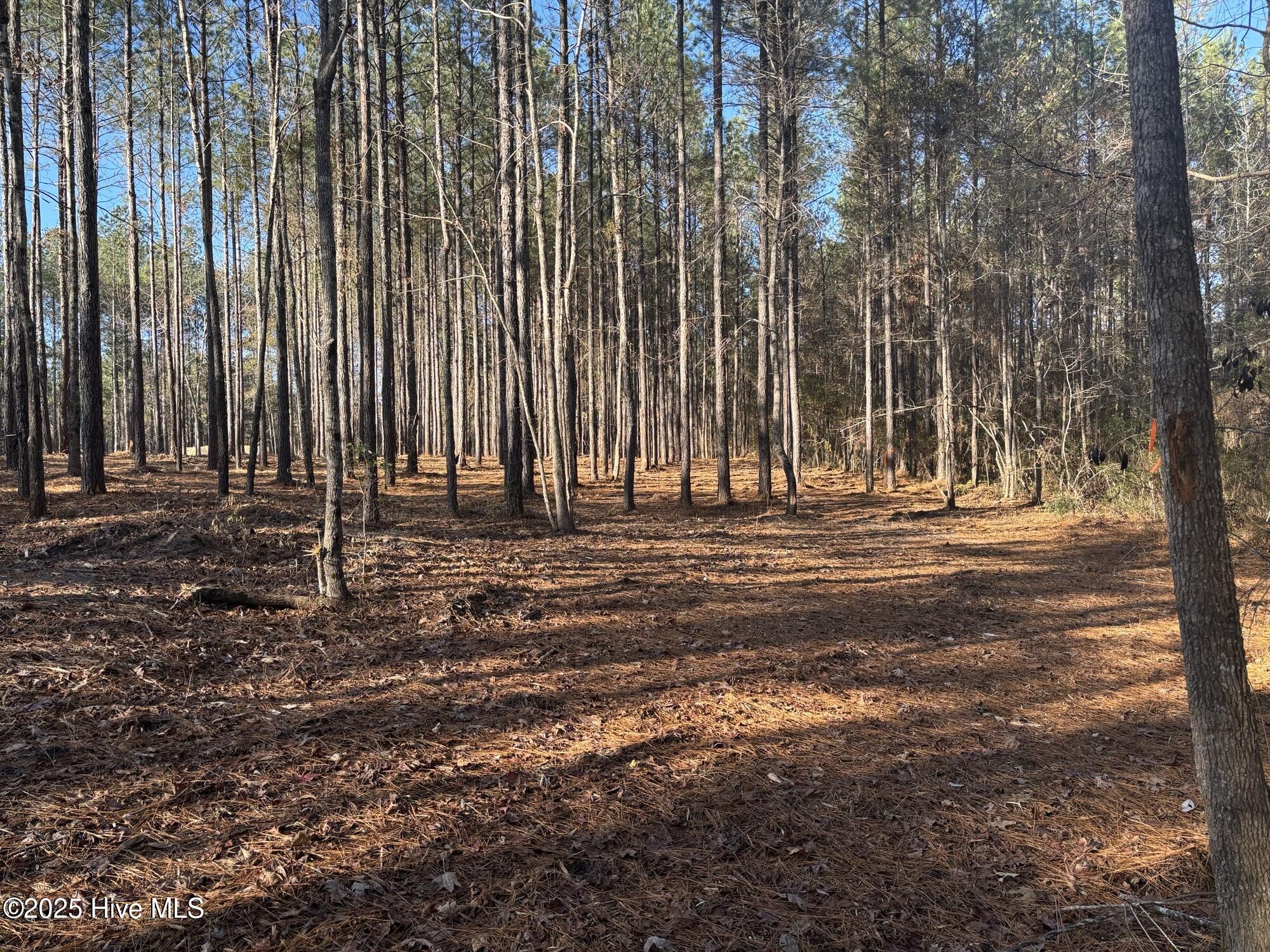 3227 Lee Landing Road New Bern, NC 28560 - Photo 6 of 13 IMG_1726