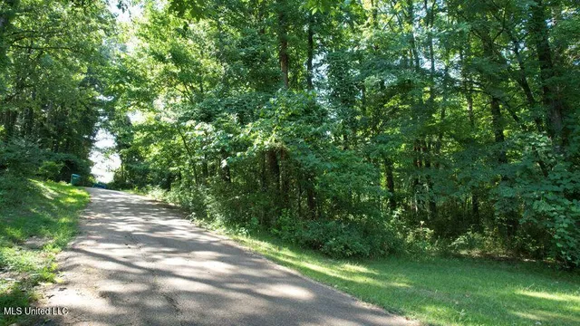 $33,000 | 0 Jack Williams Road, Grenada, MS 38901