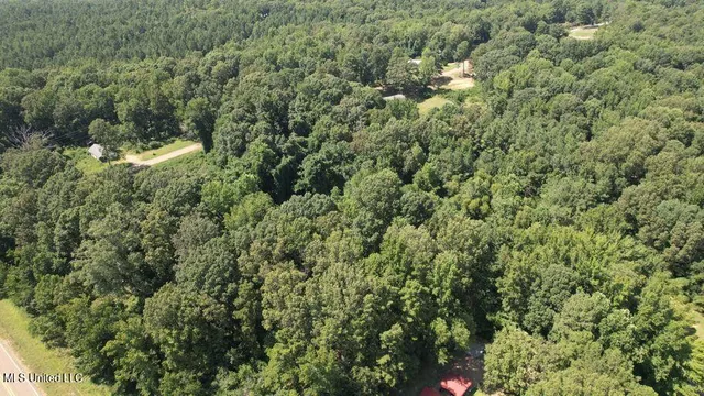 $33,000 | 0 Jack Williams Road, Grenada, MS 38901