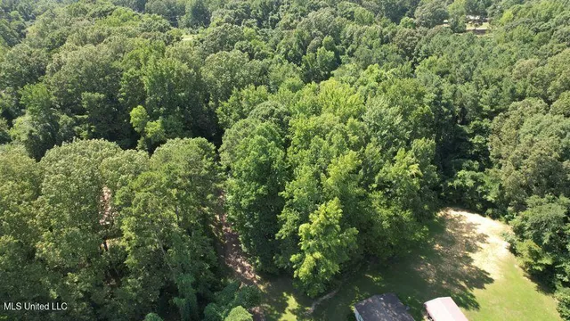 $33,000 | 0 Jack Williams Road, Grenada, MS 38901
