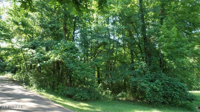 $33,000 | 0 Jack Williams Road, Grenada, MS 38901