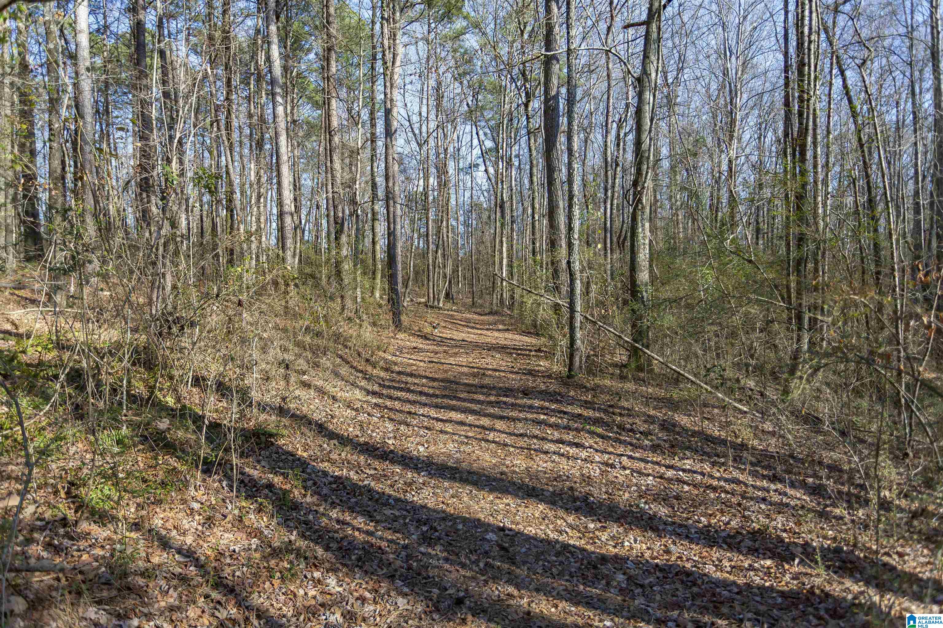 9454 Shipptown Road Empire, AL 35063 - Photo 19 of 82