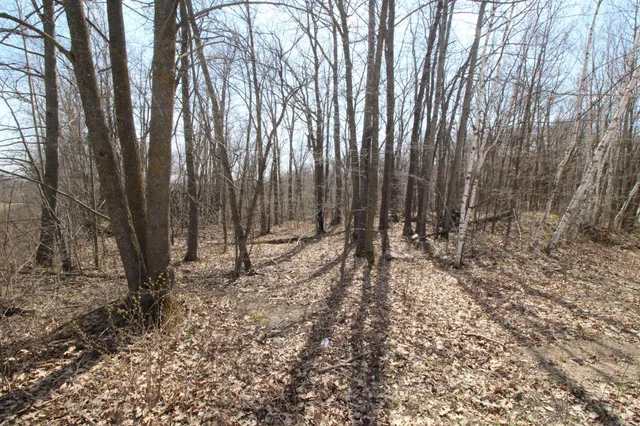 $25,000 | Xxx Lake Camile Drive, Randall, MN 56475