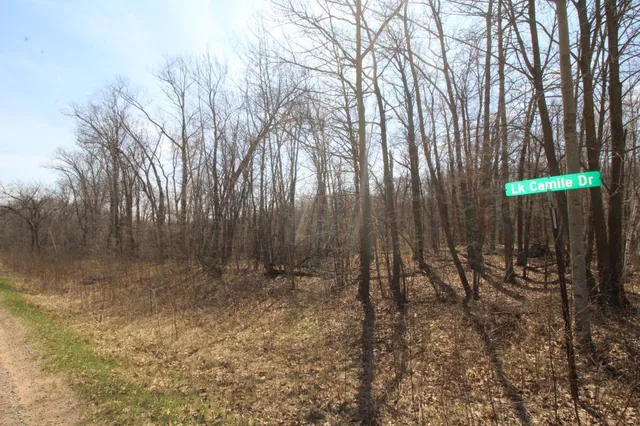 $25,000 | Xxx Lake Camile Drive, Randall, MN 56475