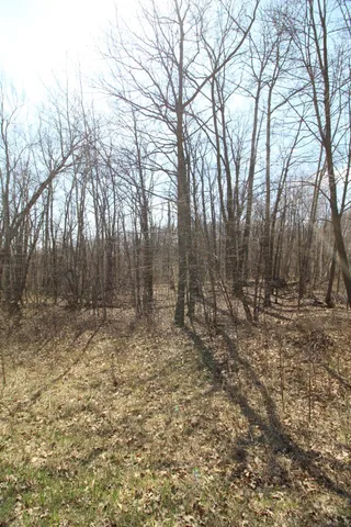 $25,000 | Xxx Lake Camile Drive, Randall, MN 56475