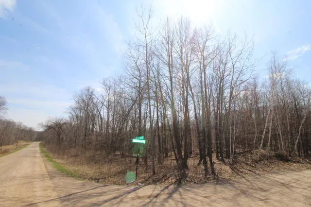 $25,000 | Xxx Lake Camile Drive, Randall, MN 56475