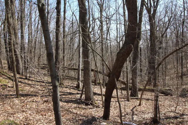 $25,000 | Xxx Lake Camile Drive, Randall, MN 56475