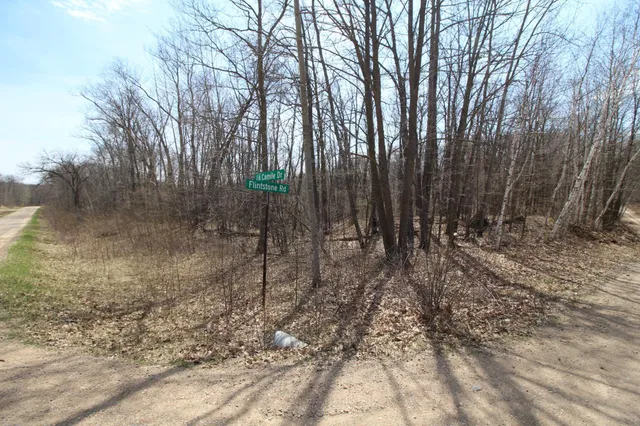 $25,000 | Xxx Lake Camile Drive, Randall, MN 56475