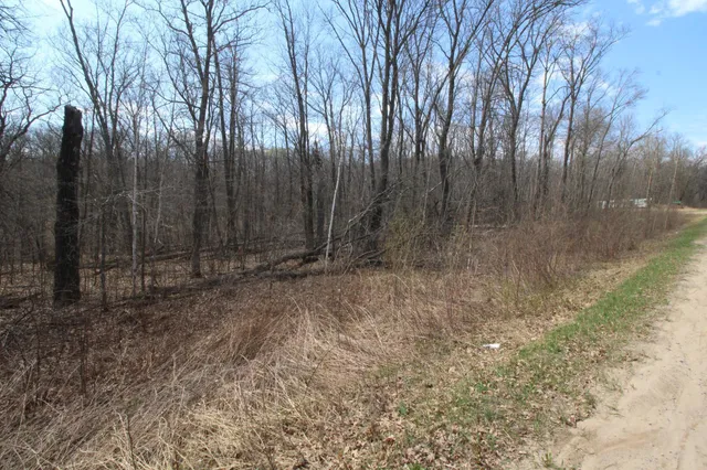 $25,000 | Xxx Lake Camile Drive, Randall, MN 56475