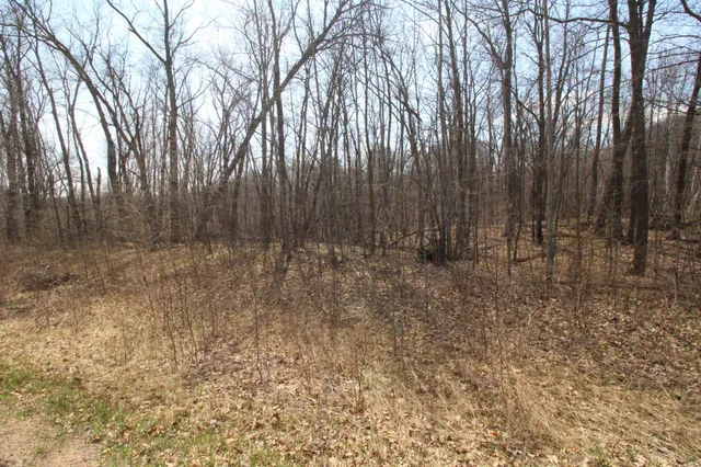 $25,000 | Xxx Lake Camile Drive, Randall, MN 56475