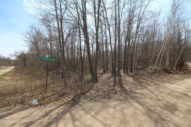 $25,000 | Xxx Lake Camile Drive, Randall, MN 56475