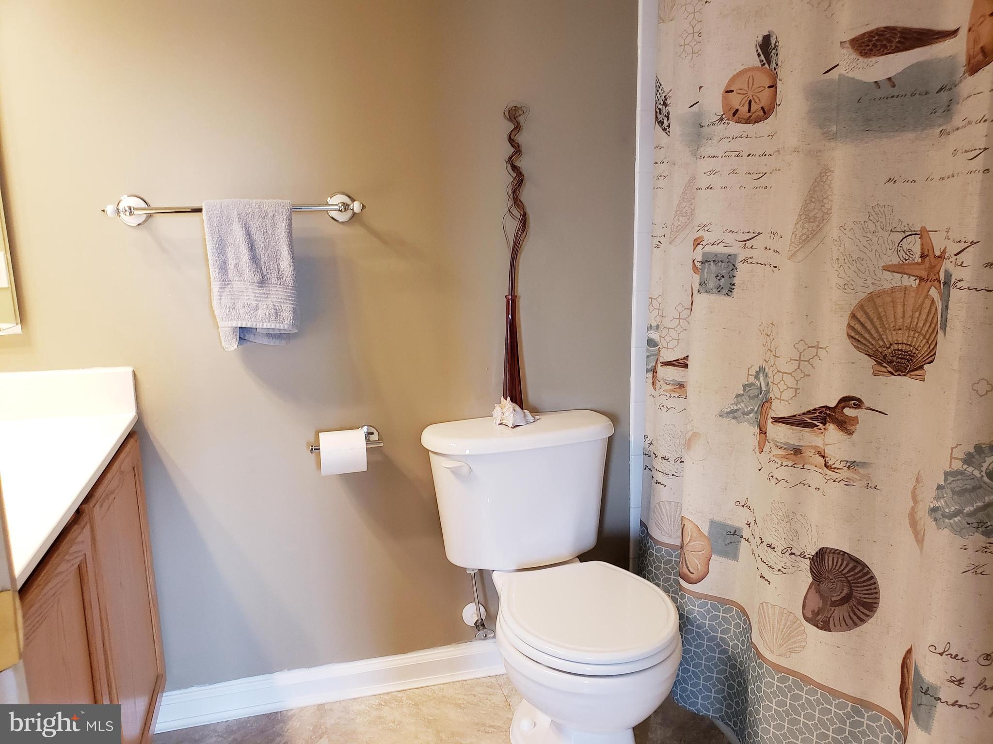 302 Roundhouse Drive Perryville, MD 21903 - Photo 12 of 20 Hall Bath