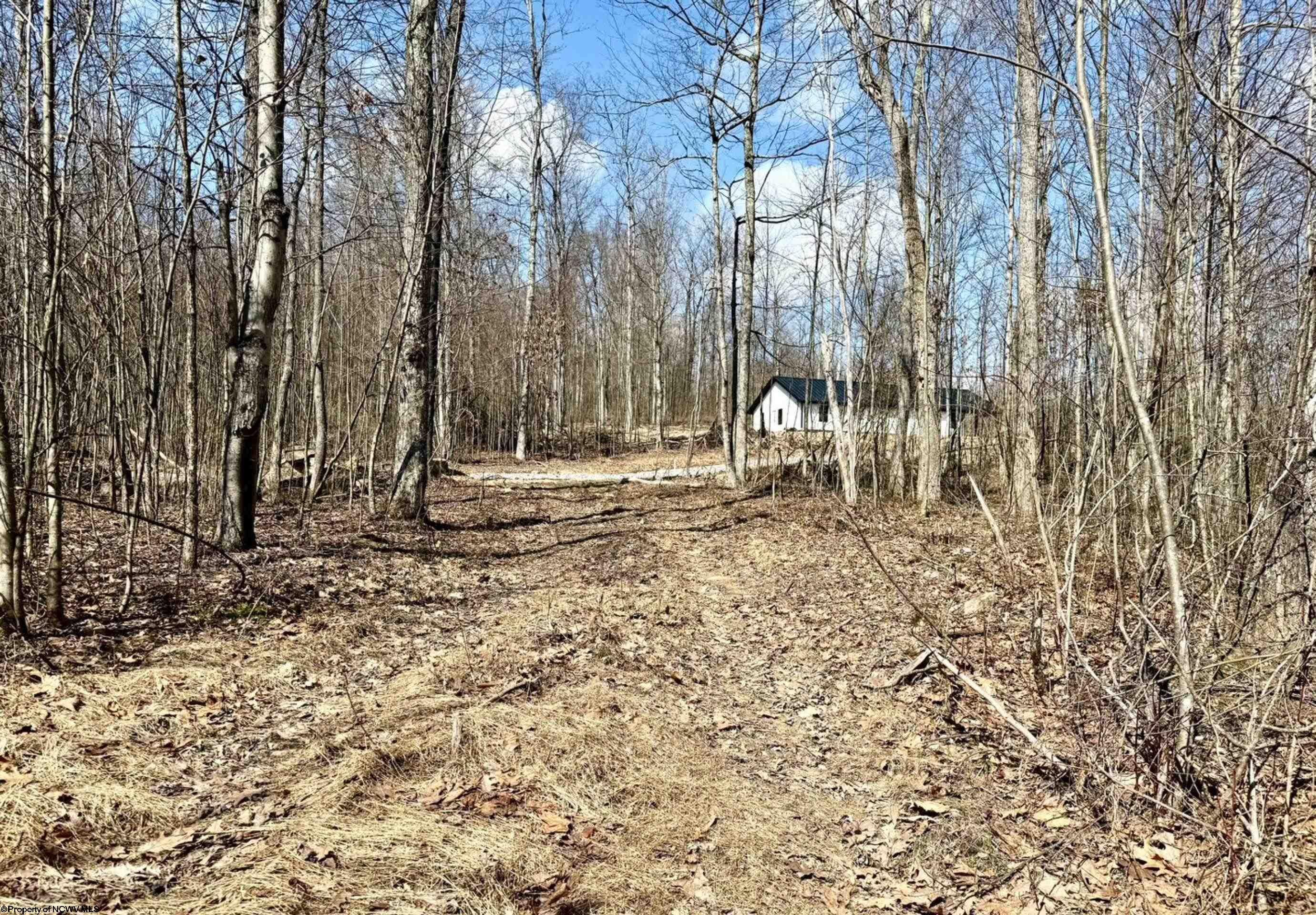Lot 5 Brooklyn Road Parsons, WV 26287 - Photo 4 of 15 Gallery Image 4