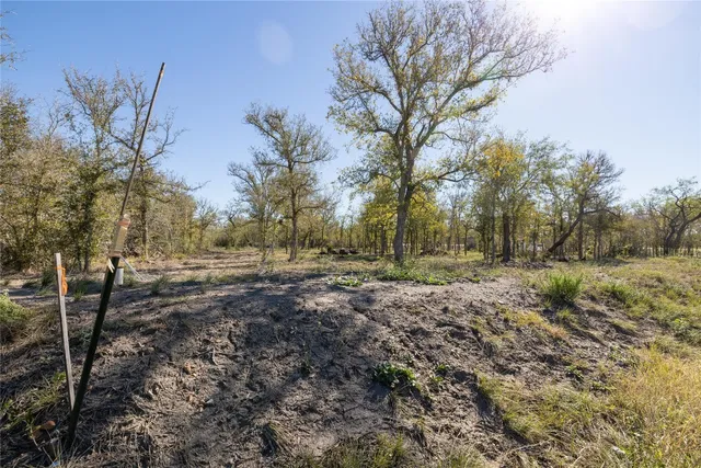 a view of yard with swimming pool and trees