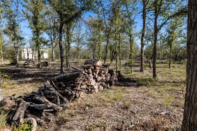 a view of outdoor space with trees