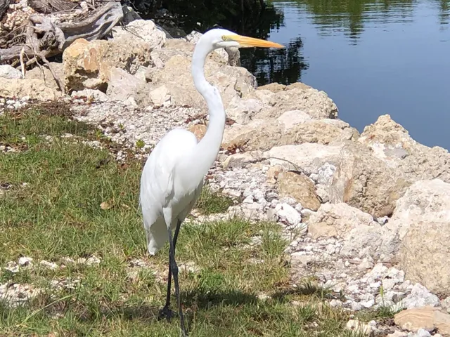 $395,000 | 24285 Caribbean Drive, Summerland Key, FL 33042