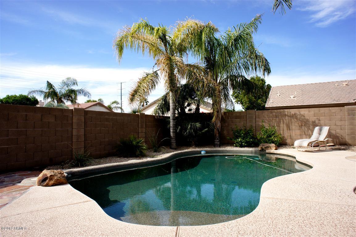 2052 East Willow Wick Road Gilbert, AZ 85296 - Photo 11 of 21 Pool 2 (Medium)