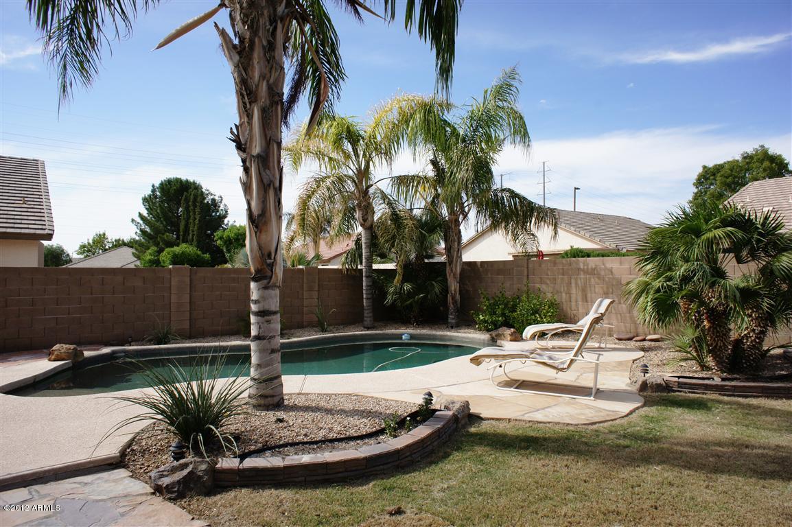 2052 East Willow Wick Road Gilbert, AZ 85296 - Photo 12 of 21 Pool 3 (Medium)