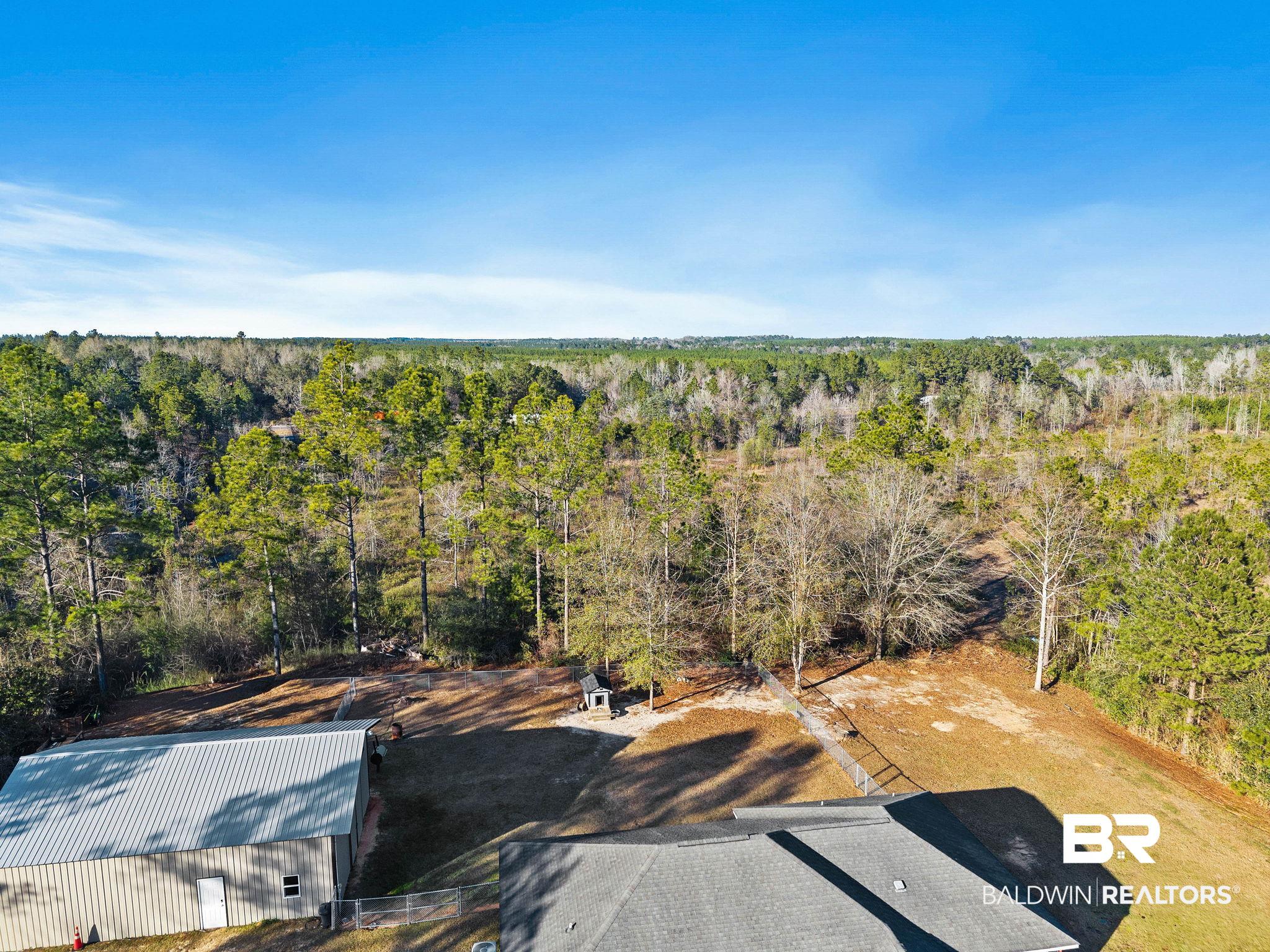 55750 Lottie Road Perdido, AL 36562 - Photo 25 of 84 Bird's eye view of a forest