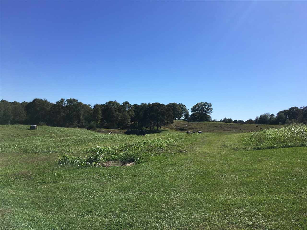 2207 Dry Creek Road Magee, MS 39111 - Photo 23 of 45 Photo 23