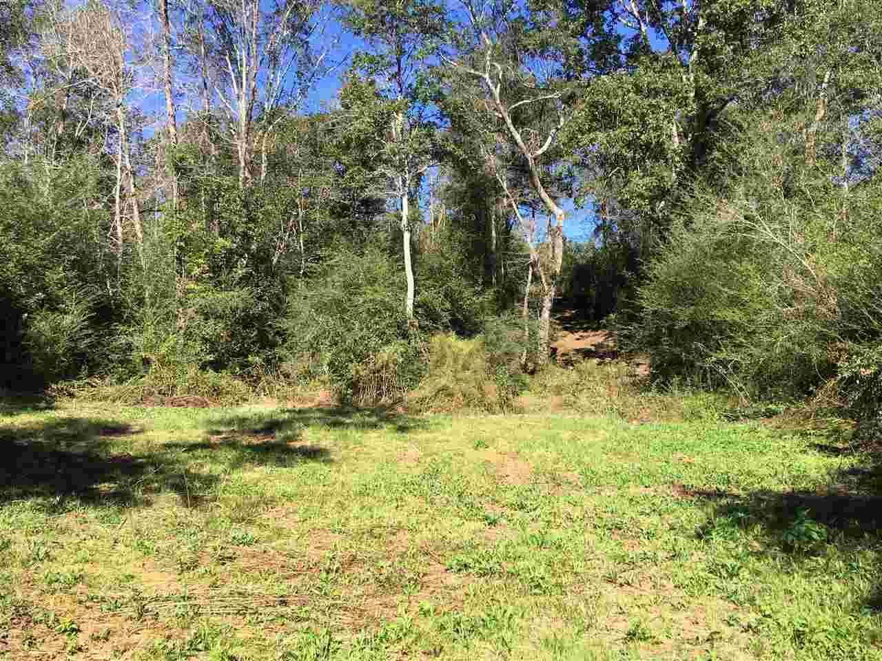 2207 Dry Creek Road Magee, MS 39111 - Photo 29 of 45 Photo 29