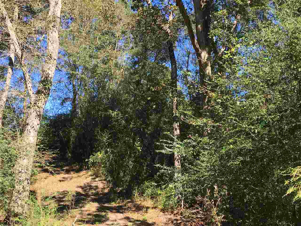 2207 Dry Creek Road Magee, MS 39111 - Photo 31 of 45 Photo 31