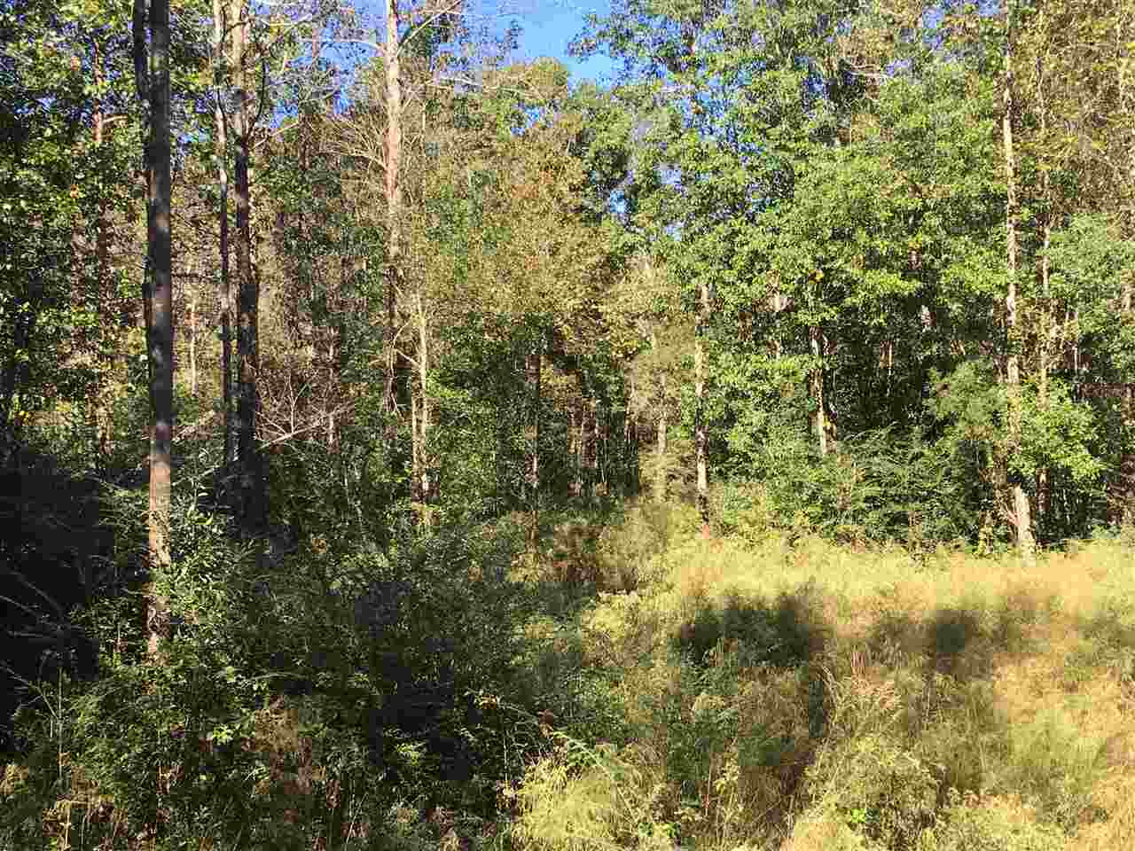 2207 Dry Creek Road Magee, MS 39111 - Photo 33 of 45 Photo 33