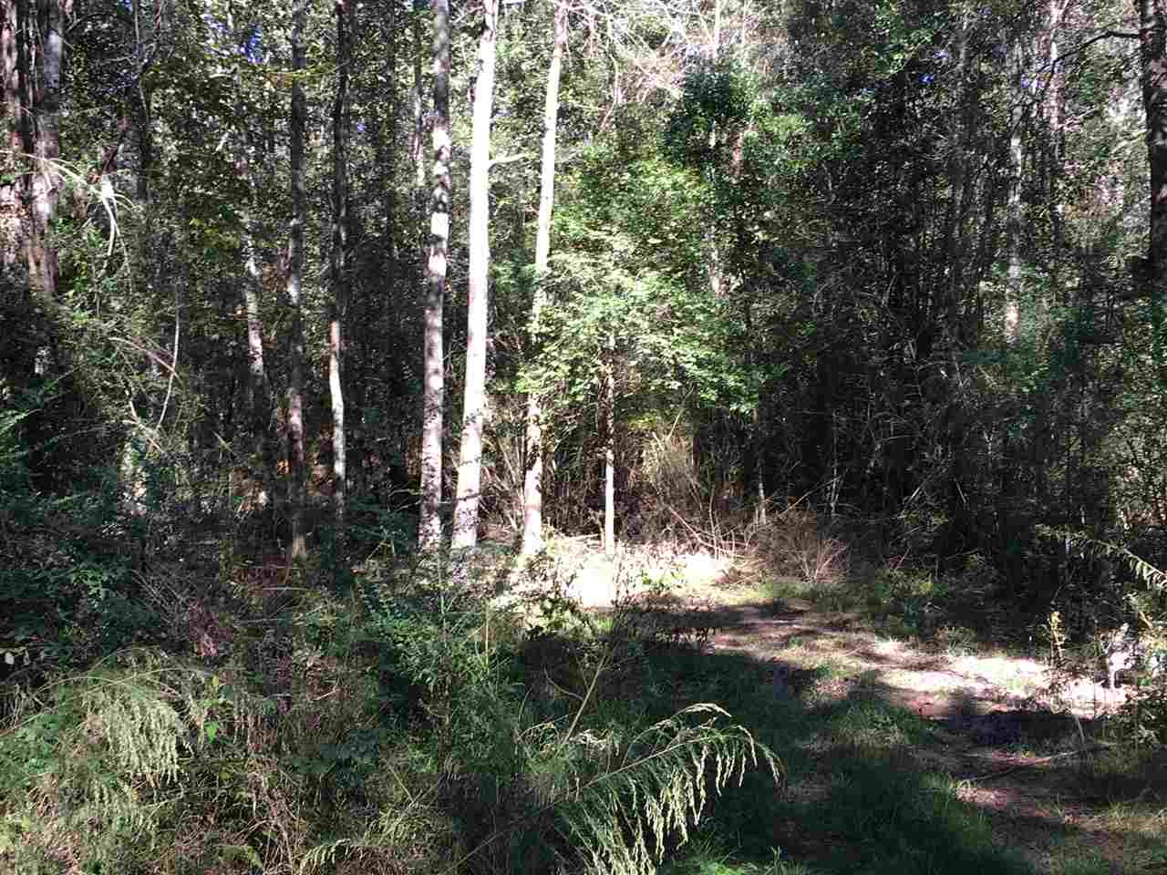 2207 Dry Creek Road Magee, MS 39111 - Photo 34 of 45 Photo 34
