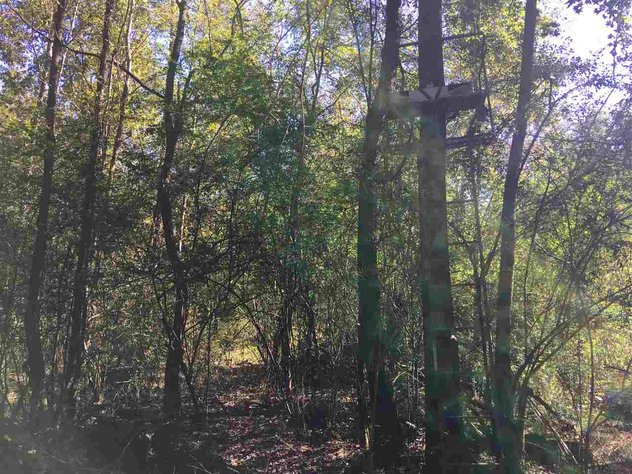 2207 Dry Creek Road Magee, MS 39111 - Photo 35 of 45 Photo 35