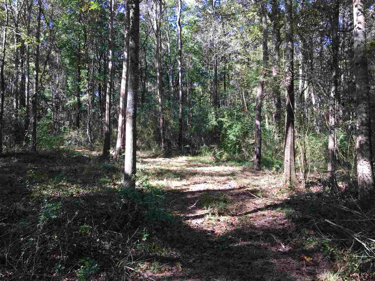 2207 Dry Creek Road Magee, MS 39111 - Photo 36 of 45 Photo 36