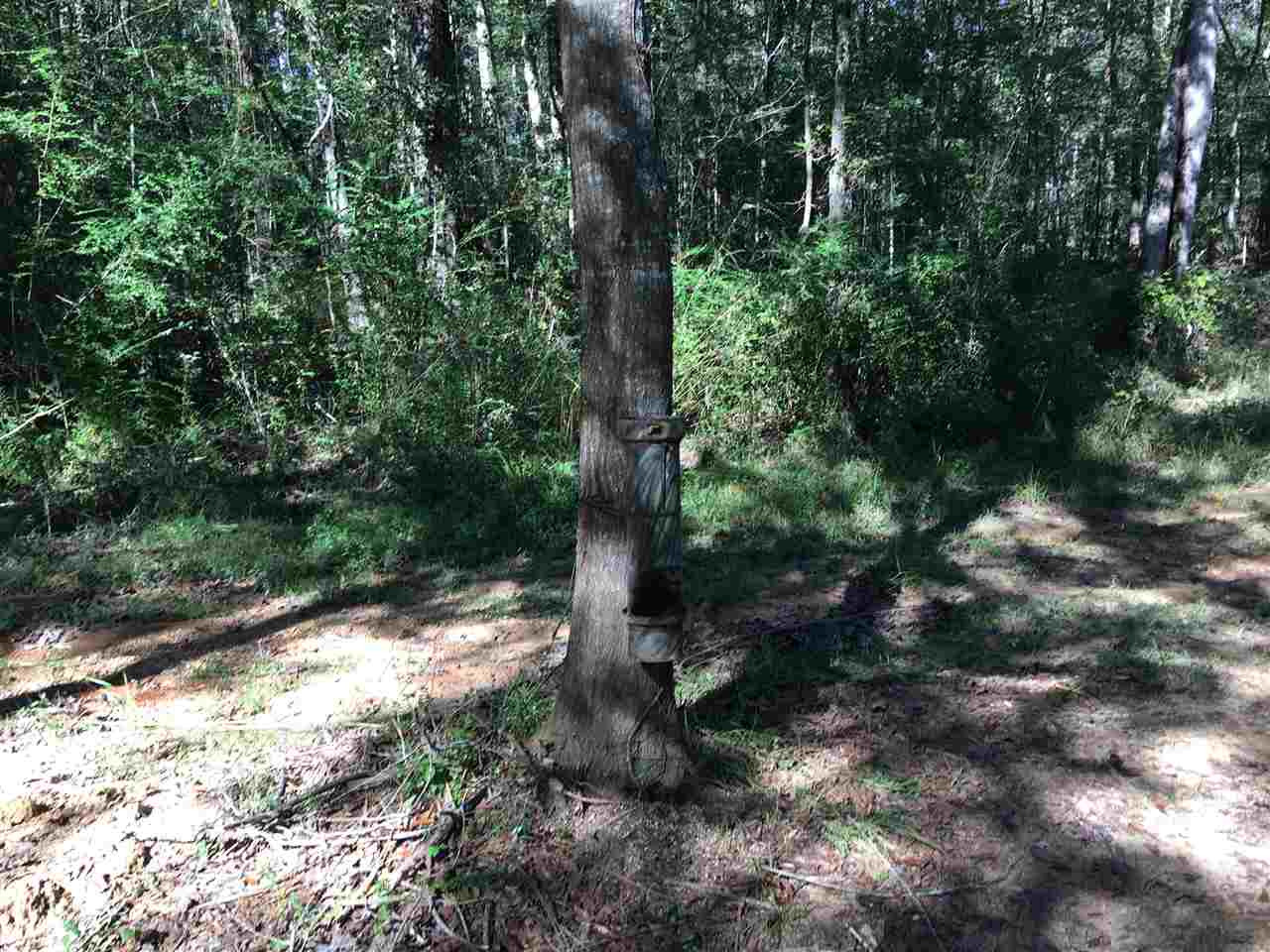 2207 Dry Creek Road Magee, MS 39111 - Photo 37 of 45 Photo 37