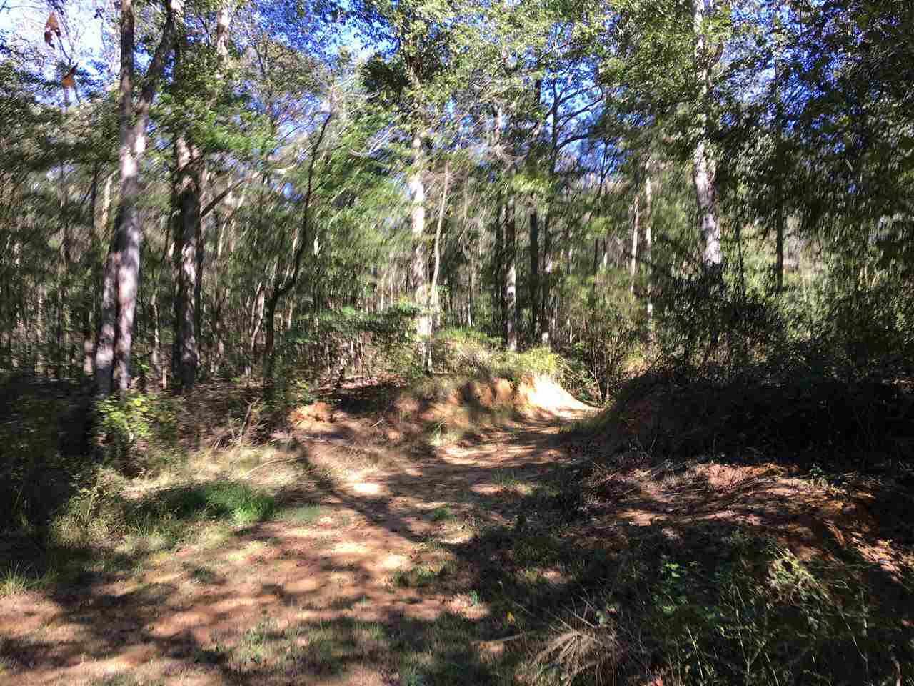 2207 Dry Creek Road Magee, MS 39111 - Photo 39 of 45 Photo 39