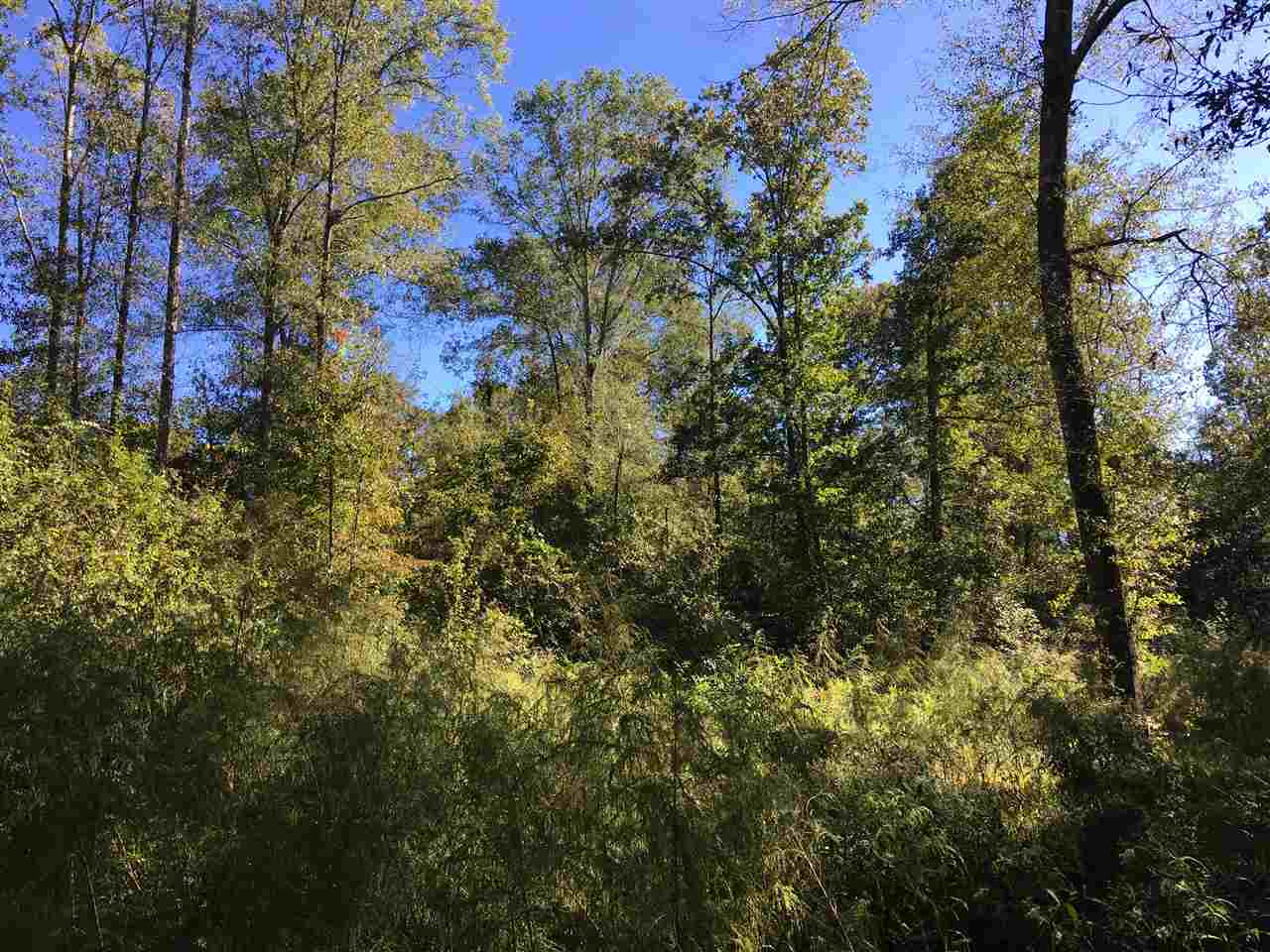 2207 Dry Creek Road Magee, MS 39111 - Photo 41 of 45 Photo 41