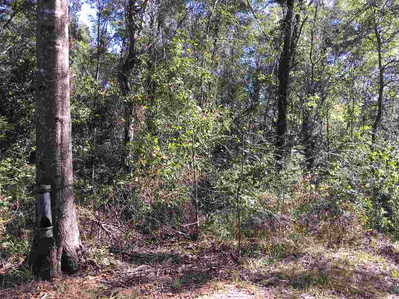 2207 Dry Creek Road Magee, MS 39111 - Photo 44 of 45 Photo 44