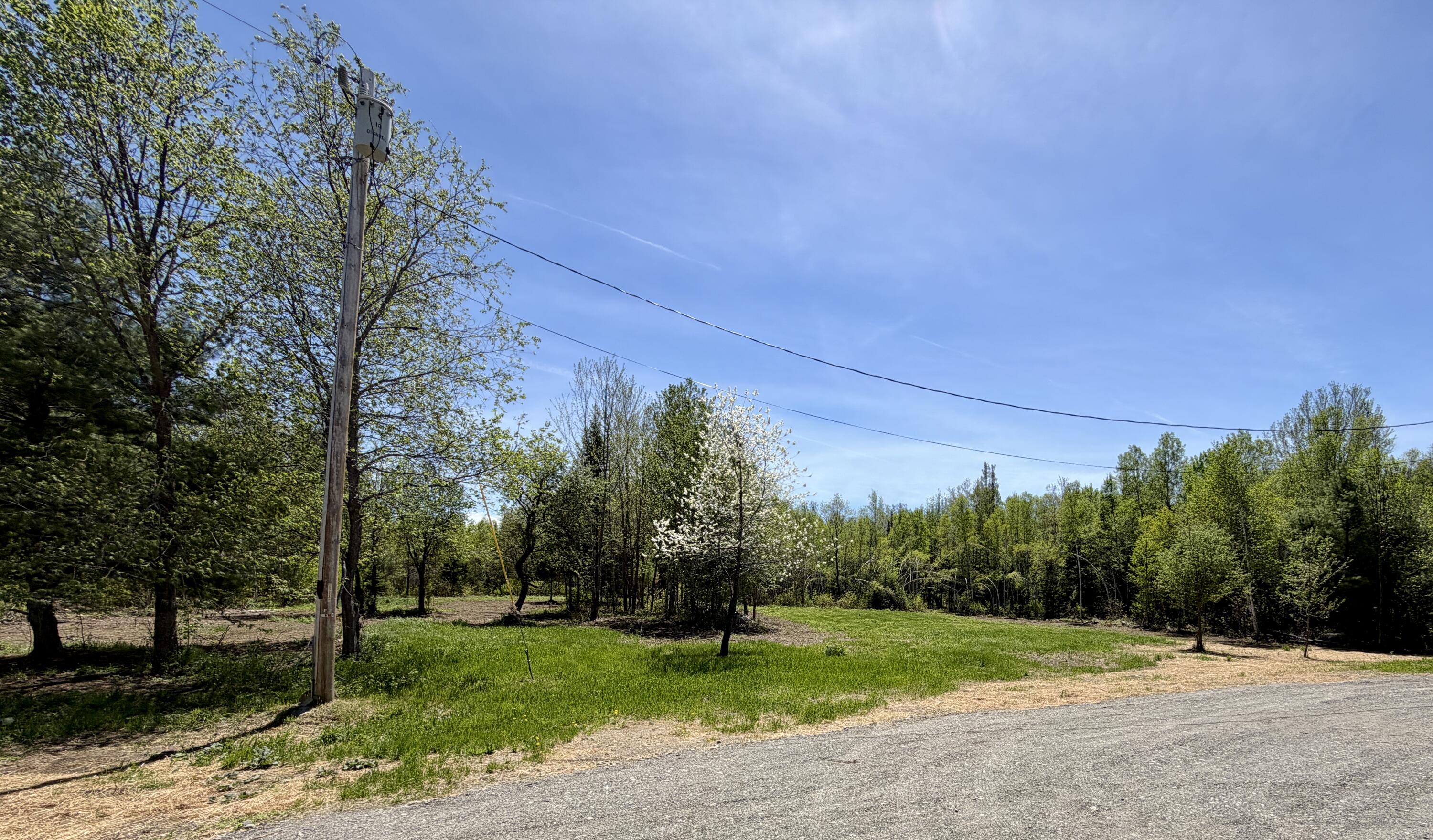 51 Big Boyd Lake Road Milo, ME 04463 - Photo 52 of 64 Your Private Yard