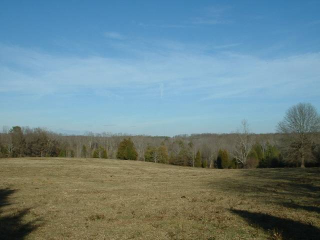 Route 3 Deck Road Gray Court, SC 29645 - Photo 1 of 8 Gallery Image 1