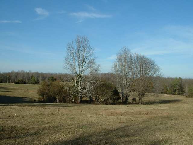 Route 3 Deck Road Gray Court, SC 29645 - Photo 3 of 8 Gallery Image 3