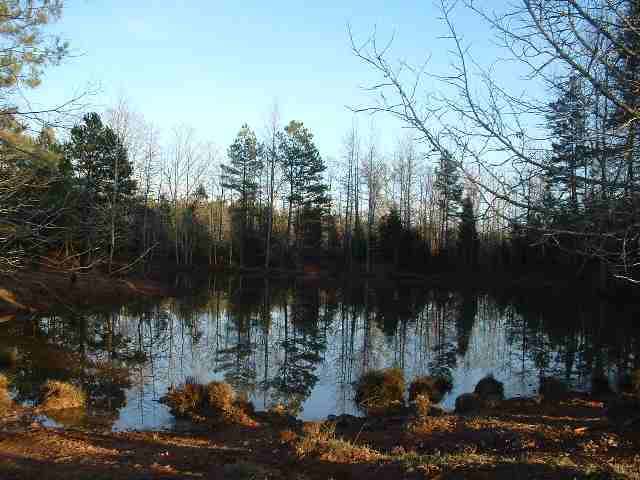 Route 3 Deck Road Gray Court, SC 29645 - Photo 5 of 8 Gallery Image 5