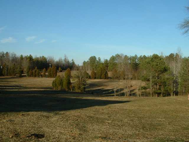 Route 3 Deck Road Gray Court, SC 29645 - Photo 6 of 8 Gallery Image 6