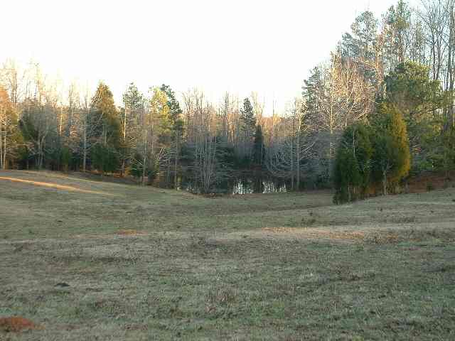 Route 3 Deck Road Gray Court, SC 29645 - Photo 8 of 8 Gallery Image 8