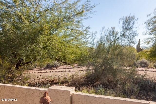 411 East Marny Road Tempe, AZ 85288 - Photo 9 of 17 back