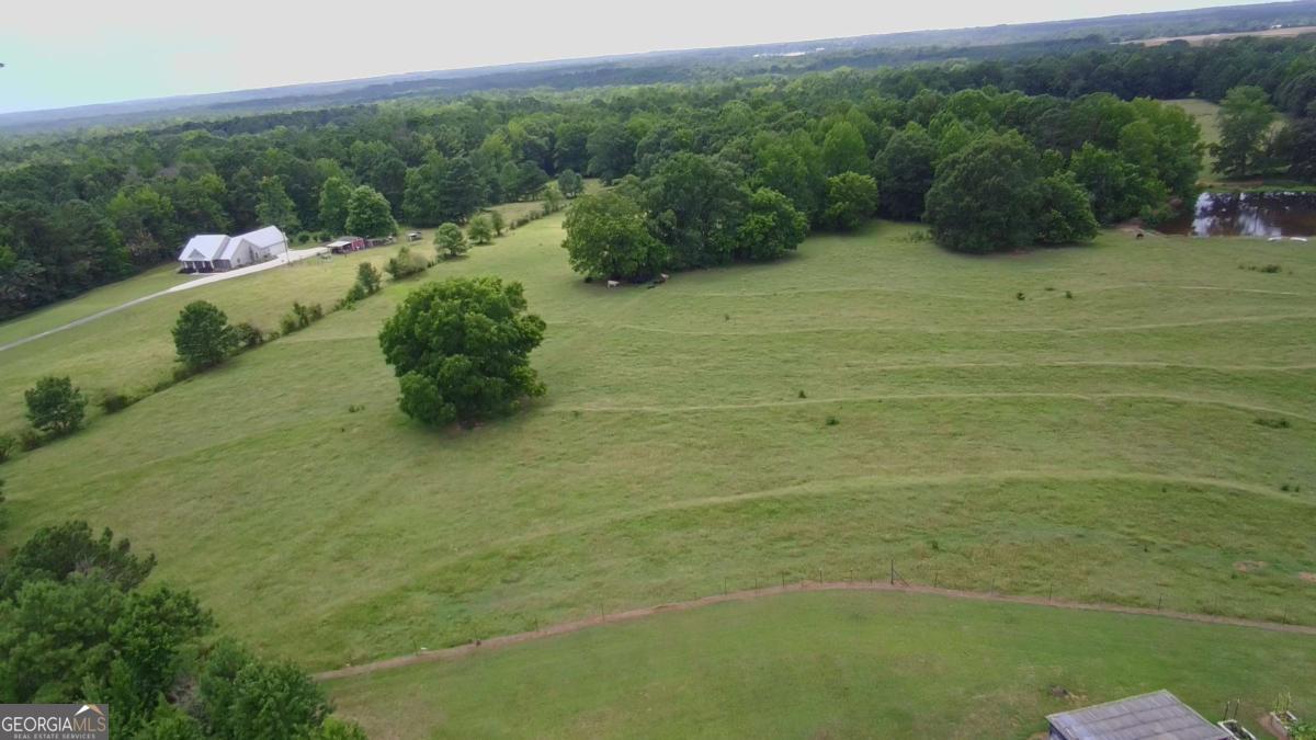 876 Simpson Mill Road Locust Grove, GA 30248 - Photo 26 of 51 a view of a big yard with plants and large trees