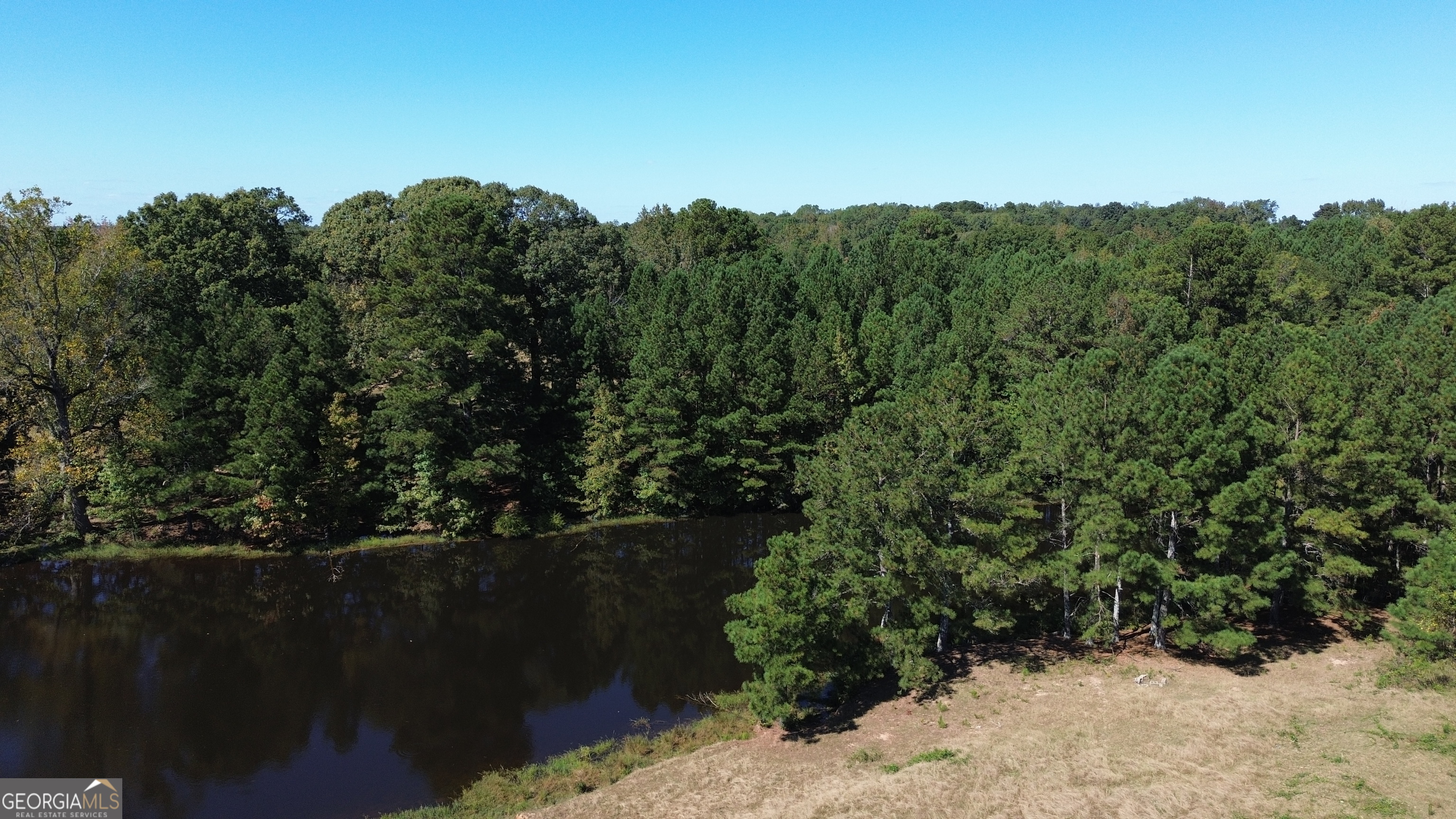876 Simpson Mill Road Locust Grove, GA 30248 - Photo 31 of 51 a view of a yard