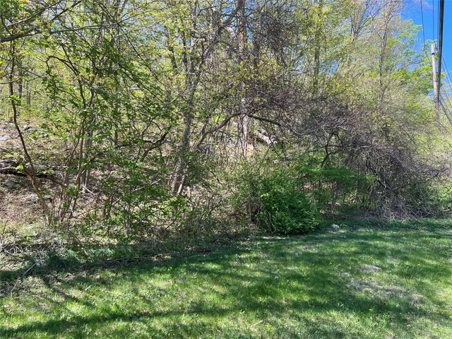a view of a lush green space