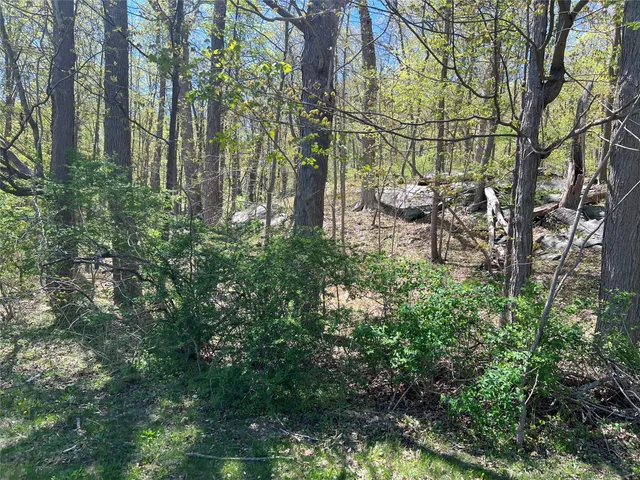 a backyard of a house with lots of green space and fountain view